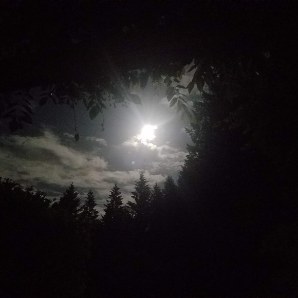 Meet your Posher, Alison - Picture 2 of 8